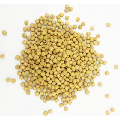 熟黄豆 现磨打豆浆专用原料熟大粒黄豆批发 低温烘焙熟五谷杂粮图5