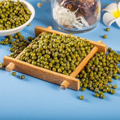 5斤东北新鲜笨绿豆明绿豆汤豆沙可发芽杂粮煮粥原料批发一件代发图3