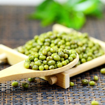 5斤东北新鲜笨绿豆明绿豆汤豆沙可发芽杂粮煮粥原料批发一件代发图2