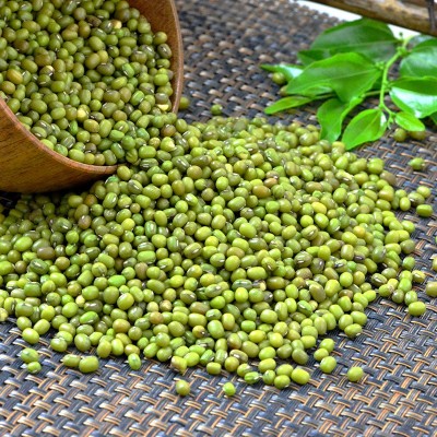 5斤东北新鲜笨绿豆明绿豆汤豆沙可发芽杂粮煮粥原料批发一件代发图4