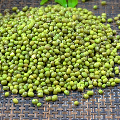 5斤东北新鲜笨绿豆明绿豆汤豆沙可发芽杂粮煮粥原料批发一件代发图5