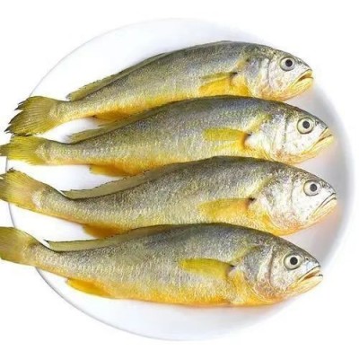 批发冷冻小黄鱼黄花鱼16斤 新鲜活冻香酥鱼食材 烧烤香烤黄鱼图5