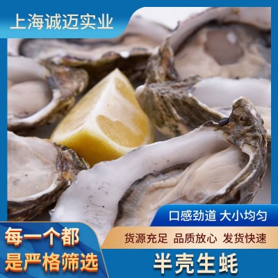 半壳生蚝 96粒规格 适合烧烤 火锅 日料图5
