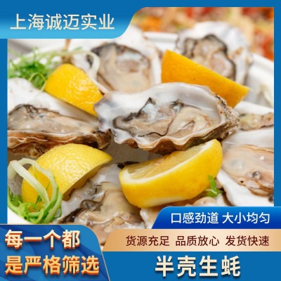 半壳生蚝 96粒规格 适合烧烤 火锅 日料图2