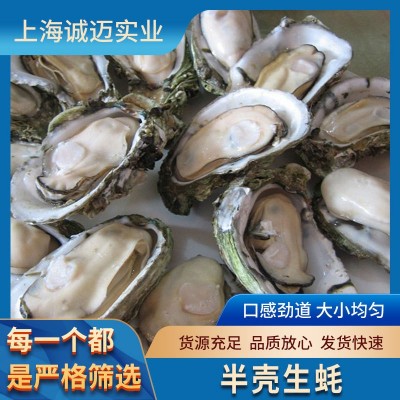 半壳生蚝 96粒规格 适合烧烤 火锅 日料图1