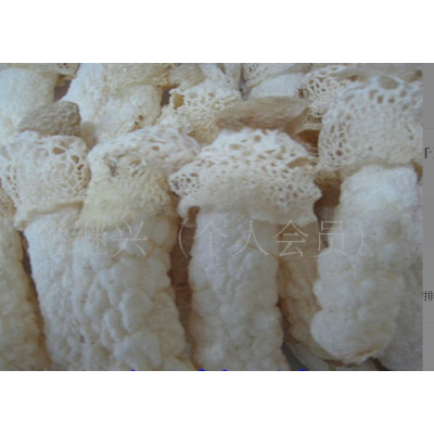 织金竹荪 15-18cm 肉质细腻 营养丰富960元/千克图5