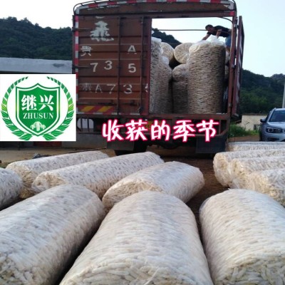 织金红托竹荪 15-18cm 肉质细腻 480元/500克图5