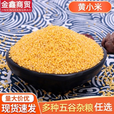 50斤袋新黄小米现货 粗粮农家自产黄小米 五谷杂粮磨面小米粥批发