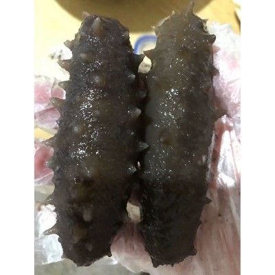 自晒长岛淡干海参干货山东烟台非大连辽参刺参50g-500g散装选礼盒图4
