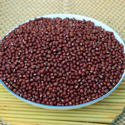低温烘焙熟红豆 厂家直销 散装批发杂粮 现磨豆浆五谷磨粉原料图3