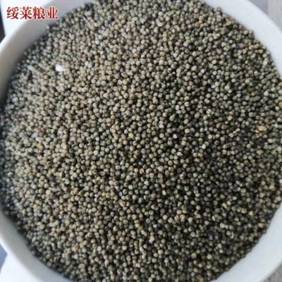 黑土地农家自产黑小米450克真空装 五谷杂粮黑小米代发图3