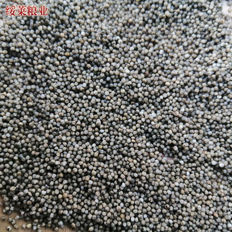 c45381f20eec43c1d54f48f6d40059