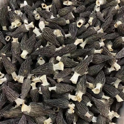 羊肚菌当季新货养生佳品酒店餐饮食材细纹无沙厂家批发羊肚菌干货图2