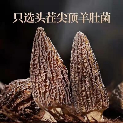 羊肚菌当季新货养生佳品酒店餐饮食材细纹无沙厂家批发羊肚菌干货图3