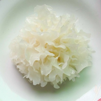 古田厂家直供 本草耳免洗免泡高档冲泡即食有机银耳干货 口感细腻图4