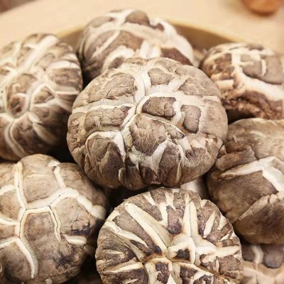 农家特产花菇肉厚清甜大花菇2022新货蘑菇大量上市香菇干货批发图3
