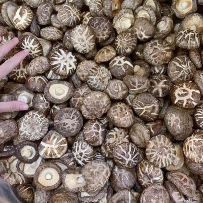 农家特产花菇肉厚清甜大花菇2022新货蘑菇大量上市香菇干货批发图5