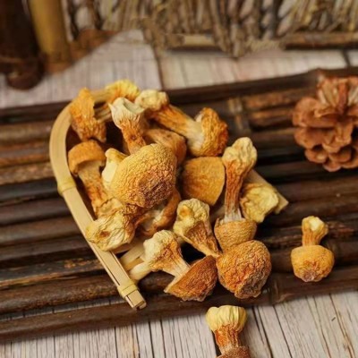 古田姬松茸干货批发酒店餐饮煲汤食材2022新货巴西蘑菇食用菌直销图4