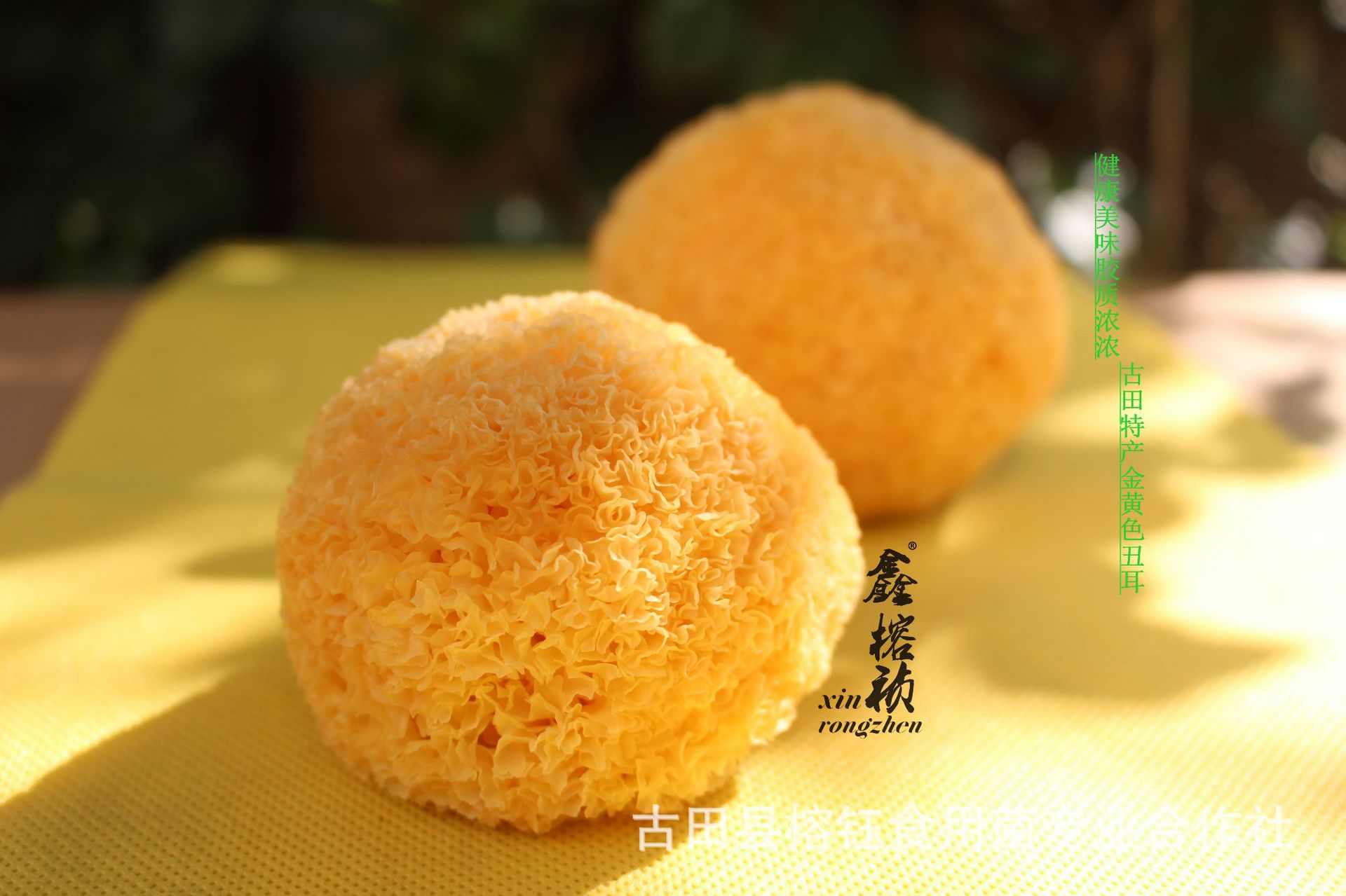 IMG_0077_副本.jpg