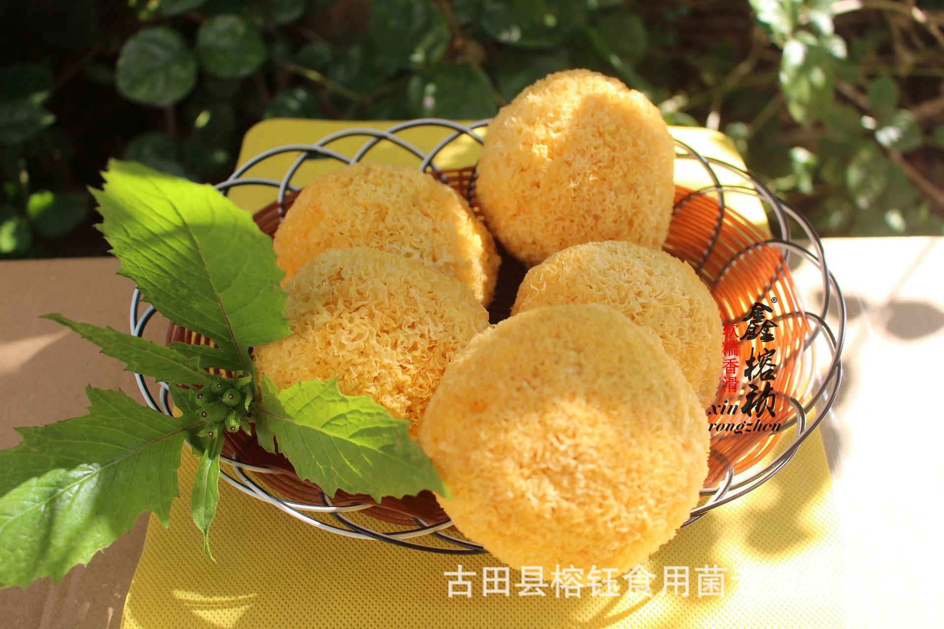IMG_0084_副本.jpg