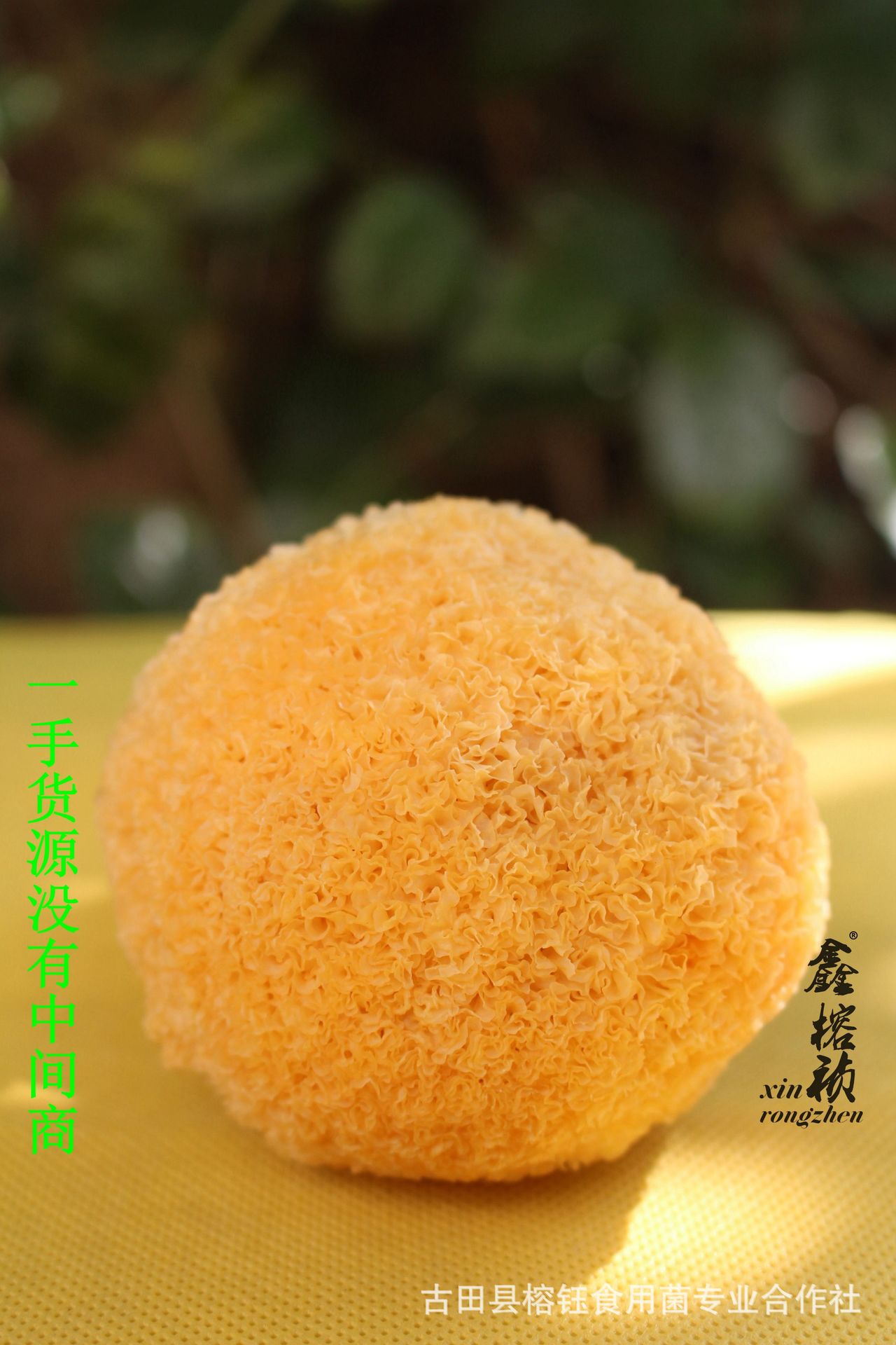 IMG_0075_副本_副本.jpg