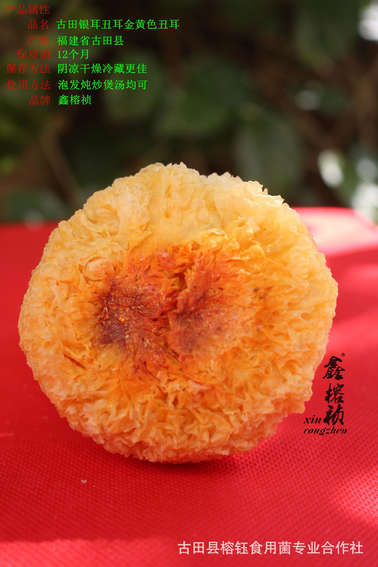 IMG_0068_副本.jpg