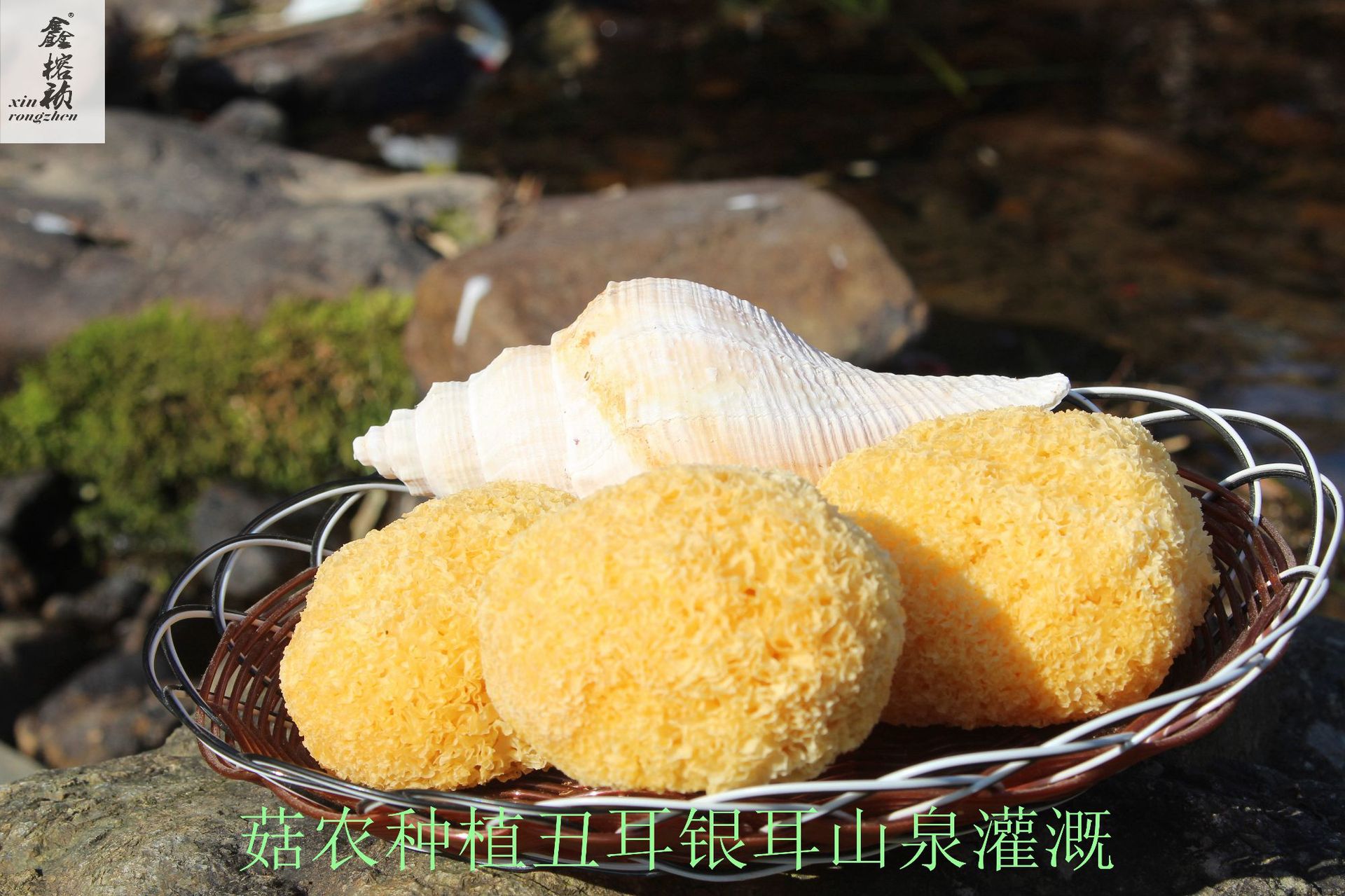 丑耳详情宝贝