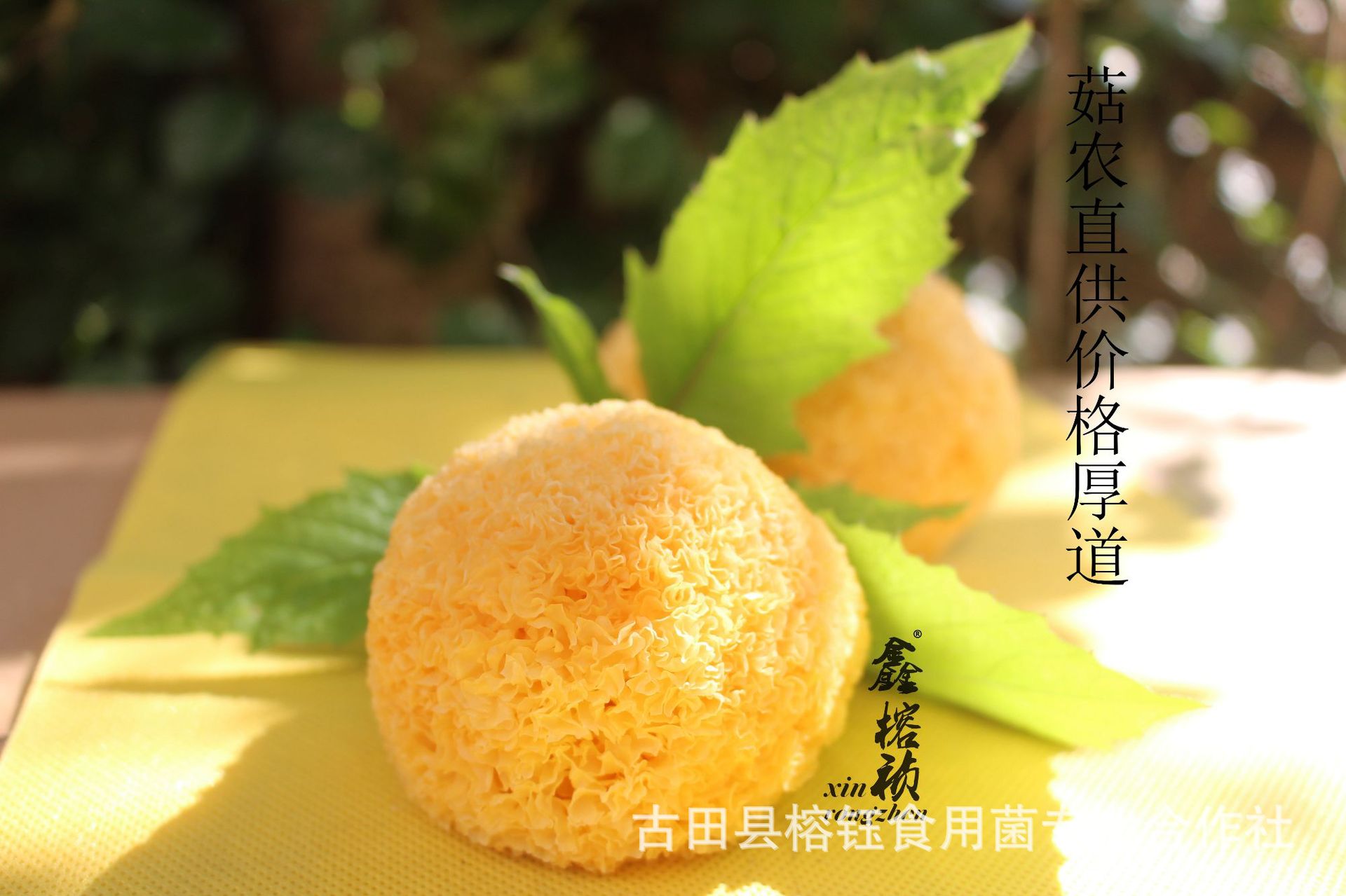 IMG_0078_副本.jpg