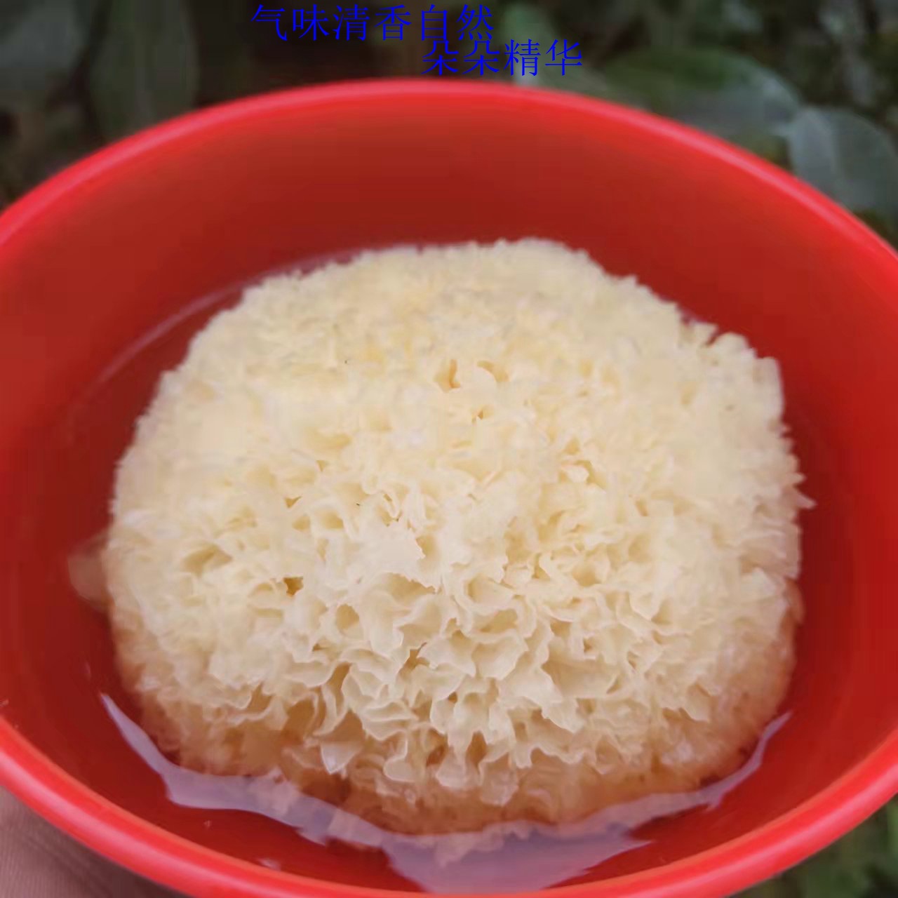 丑耳详情宝贝