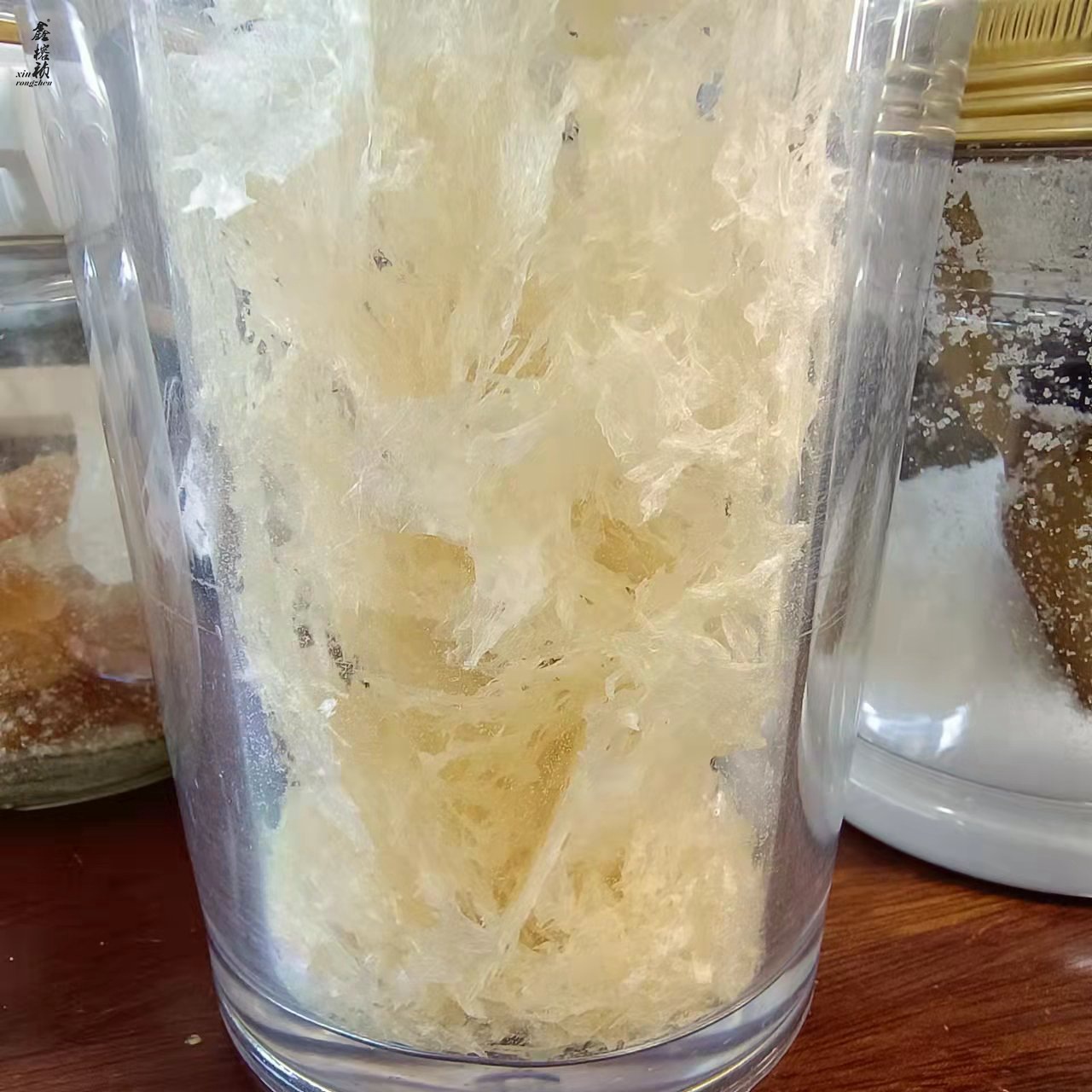 草本银耳