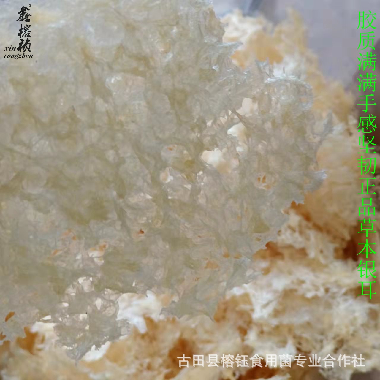 本草银耳详情宝贝