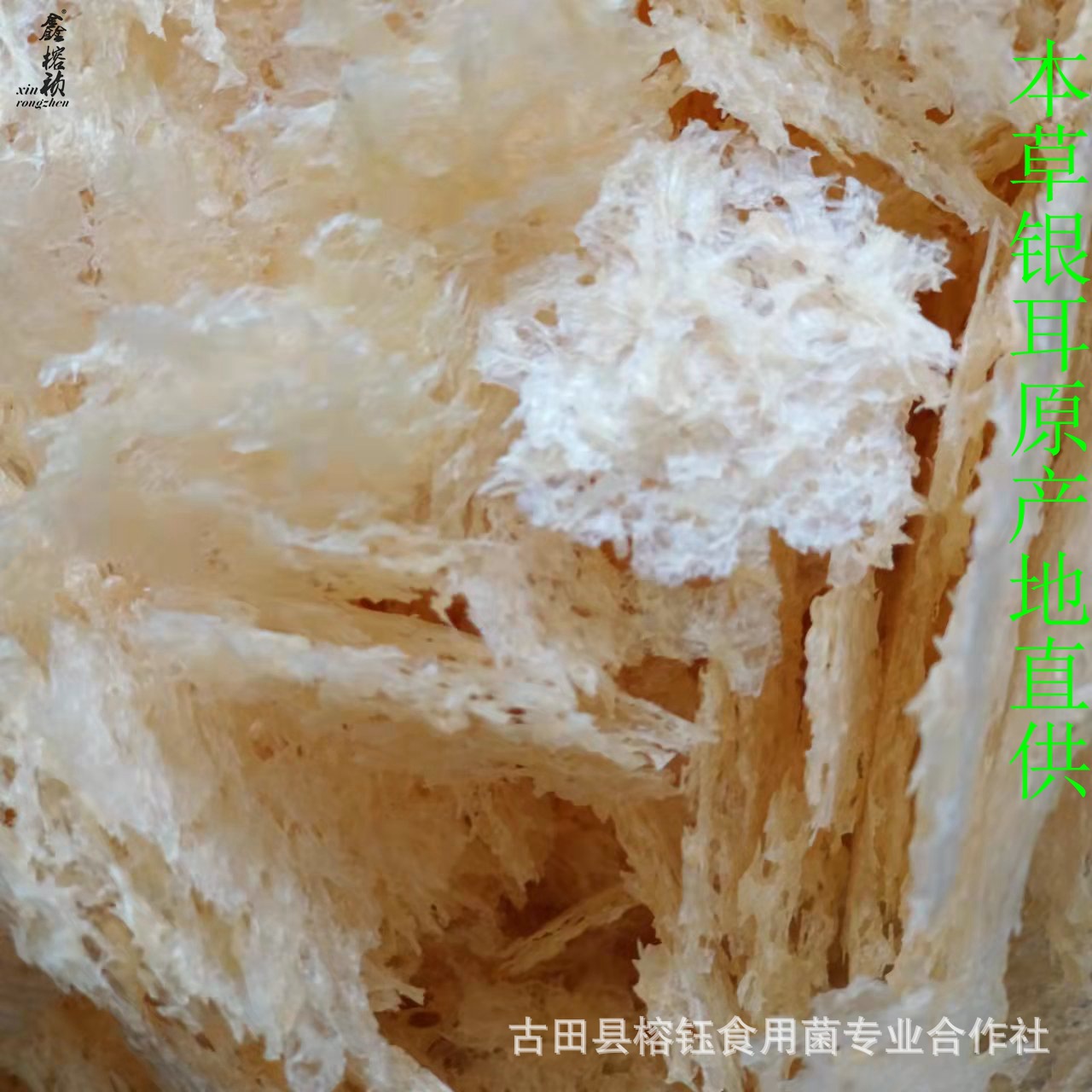 本草银耳详情宝贝