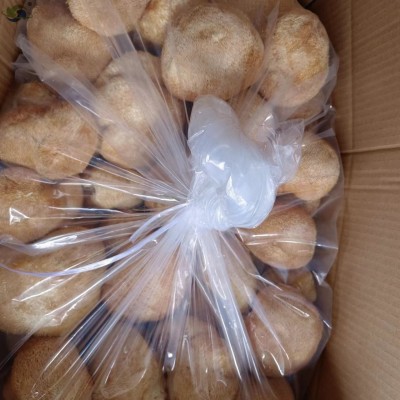 鑫榕钰 猴头菇批发干货 古田猴头菇大朵剪脚无根猴头菇8到12公分图3