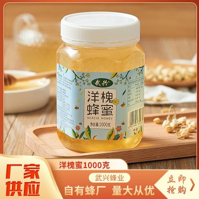 1000g洋槐蜜家庭装甜品烘焙饮料冲饮 厂家供应 量大价优