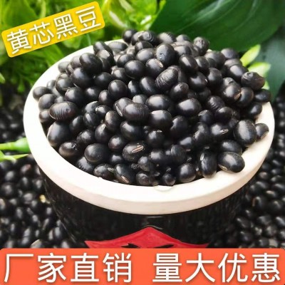 现货供应东北黄心黑豆 五谷杂粮农家自产小黑豆 黄仁批发25kg图1