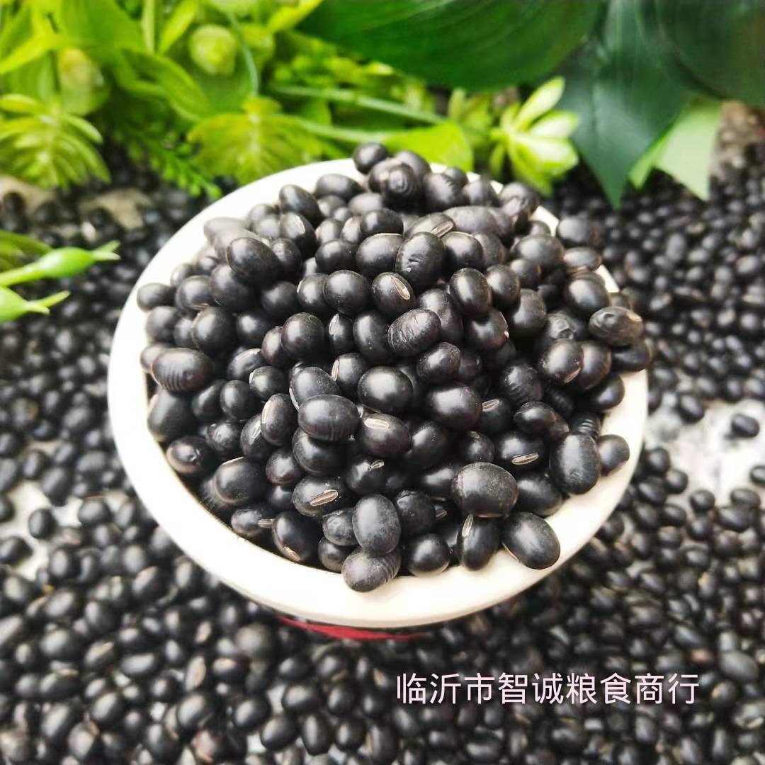 微信图片_20190306145647