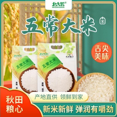 北大荒五常大米东北大米 北大荒大米真空包装厂家批发图2