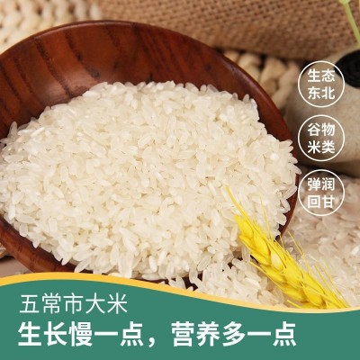 北大荒五常大米东北大米 北大荒大米真空包装厂家批发