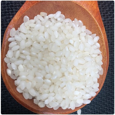 东北老农 大米5kg10斤50斤批发当季新米46南粳9108软糯香米图2