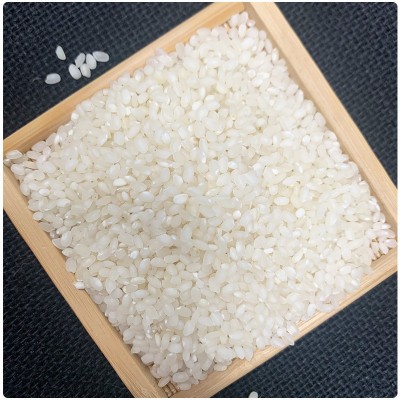 东北老农 大米5kg10斤50斤批发当季新米46南粳9108软糯香米图5