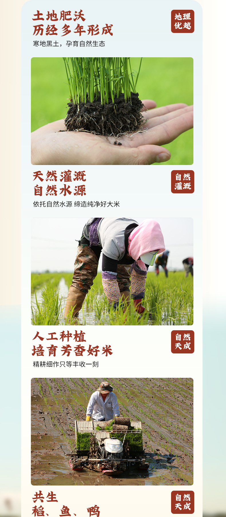 详情_05