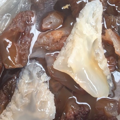 小额批发辽宁“营口海蛰”滢辉牌无盐海蛰头礼品桶包装天然、养殖图2