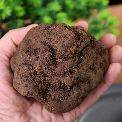 顺丰包邮云南黑松露多规格新鲜直达云南特产食用菌黑松露现货批发图3