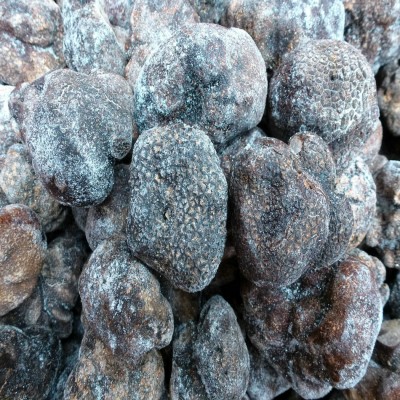 【裕菌隆】 黑松露 纯黑色松露冻品批发 手工挑选5公分以上黑松露图4