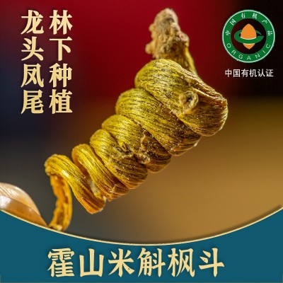 统货特级霍山米斛枫斗 龙头凤尾霍山石斛 5年鲜条干条 非铁皮石斛