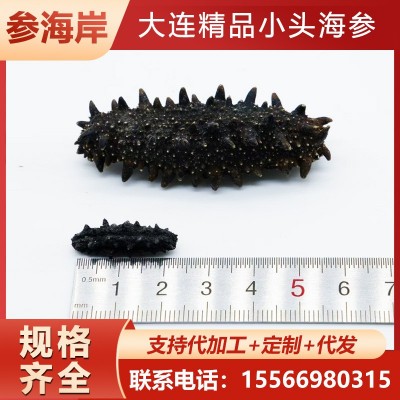 大连执中淡干海参底播海参优质海参精品小头(200-100只）图3