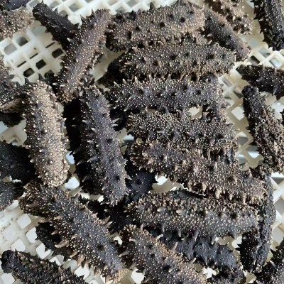 大连执中（参海岸）淡干海参特级海参非即食海参50g 500g礼盒图4