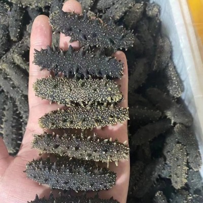大连执中（参海岸）淡干海参特级海参非即食海参50g 500g礼盒