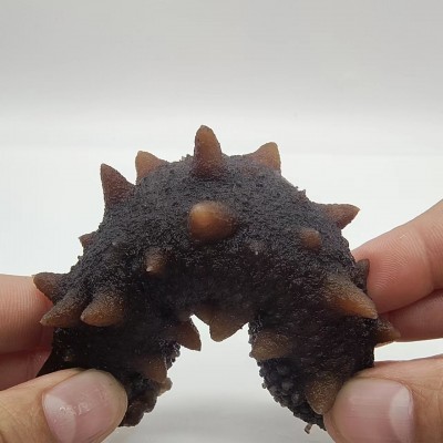 执中大连鲜食海参即食海参500g海参批发参底播深海9年海参干货图2