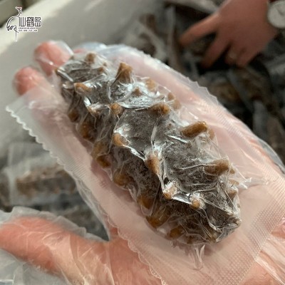 一手货源 大连海参批发 即食海参 鲜食海参500克图2